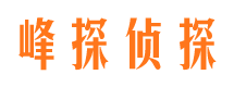 南岔侦探公司